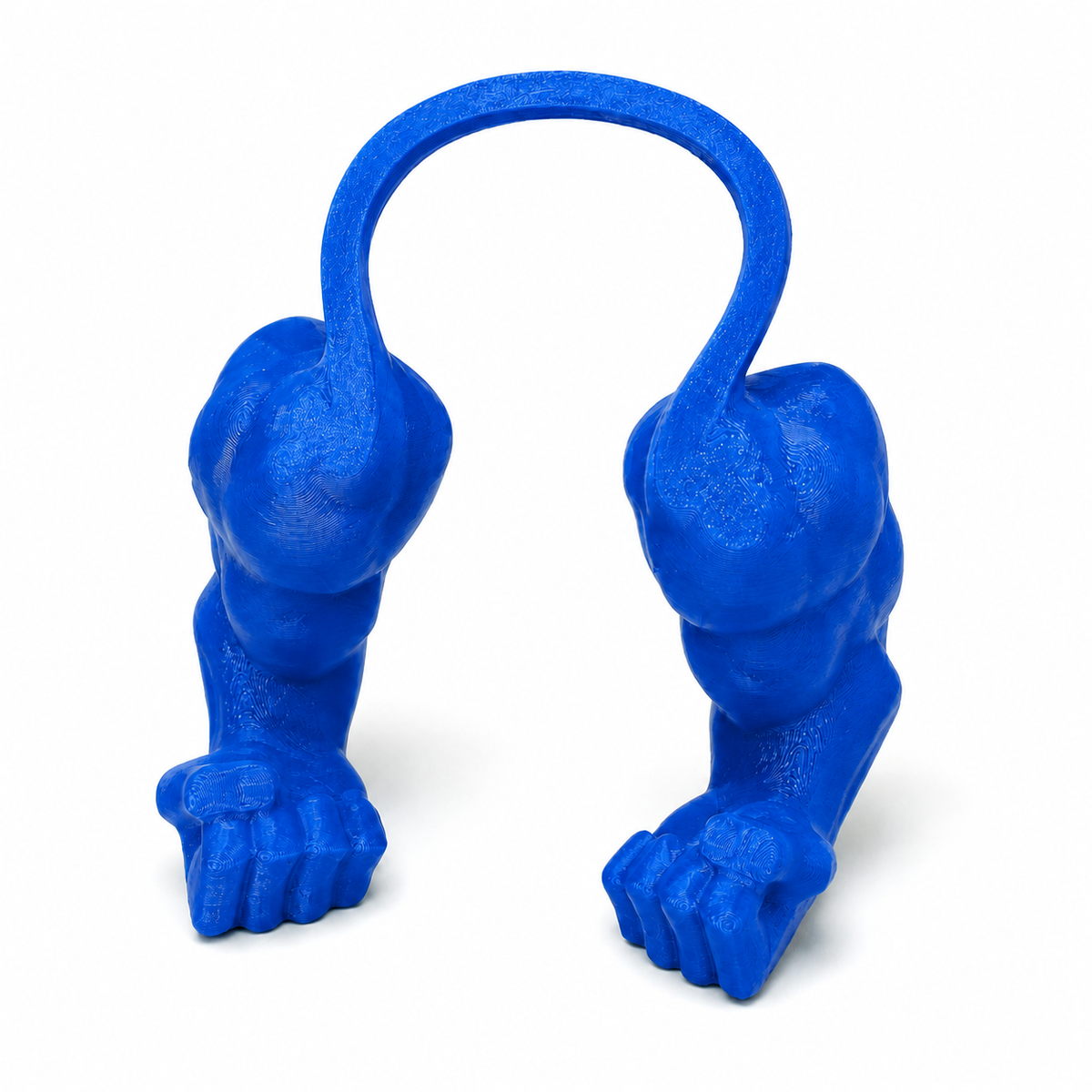 Blue 3D printed pet muscle arms costume by NAMVEXO